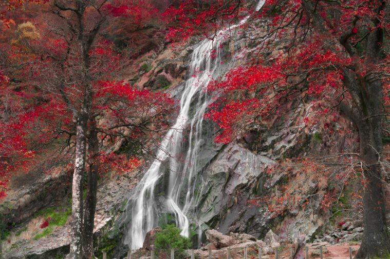 powerscourt waterfall wicklow autumn